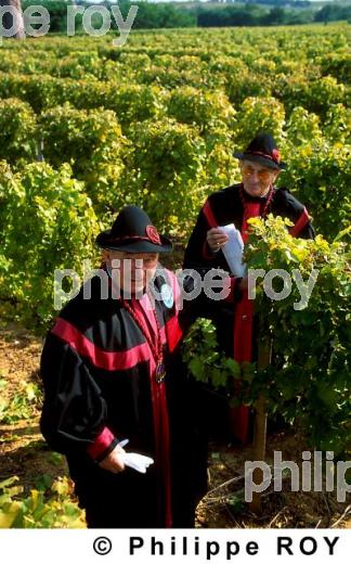 Confrrie viticole (33V03113.jpg)