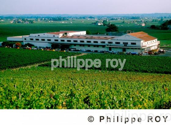 Vignoble Bordelais (33V04012.jpg)
