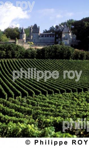 Chteau viticole (33V04105.jpg)