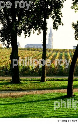Patrimoine et vignoble (33V08620.jpg)
