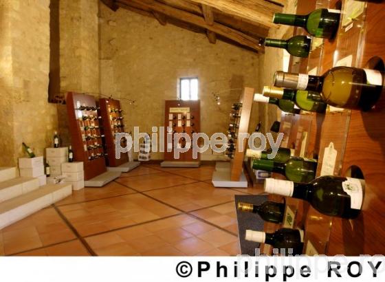 Tourisme viticole (33V13939.jpg)