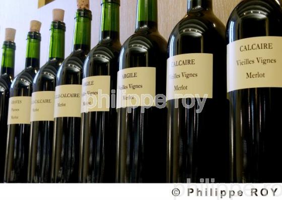 Oenologie - Vin de Bordeaux (33V14917.jpg)
