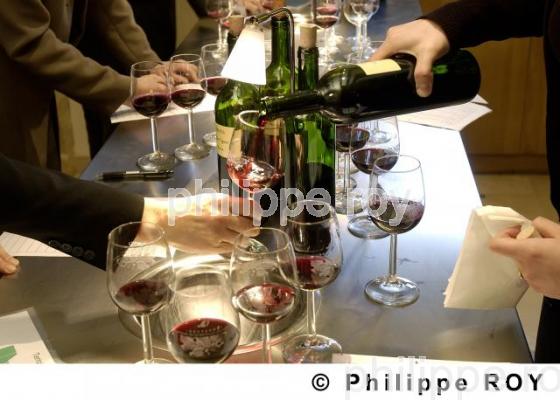 Oenologie - Vin de Bordeaux (33V14922.jpg)