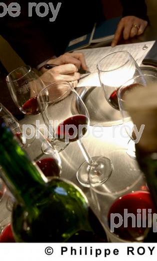 Oenologie - Vin de Bordeaux (33V14926.jpg)