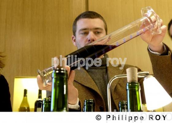 Oenologie - Vin de Bordeaux (33V14928.jpg)