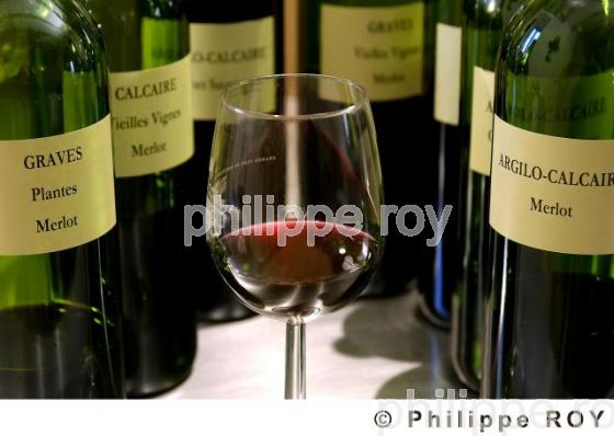 Oenologie - Vin de Bordeaux (33V14931.jpg)