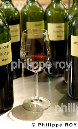 Oenologie - Vin de Bordeaux (33V14932.jpg)