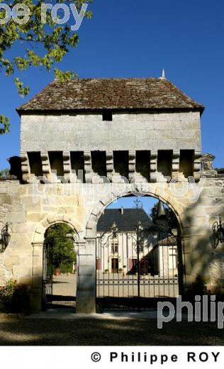 Chteau viticole (33V16037.jpg)