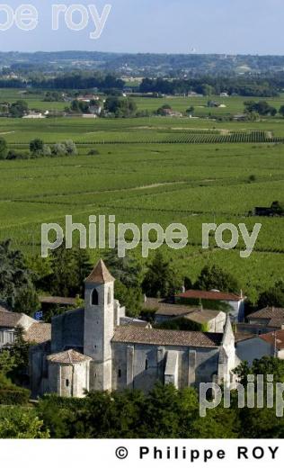 Patrimoine et vignoble (33V16129.jpg)