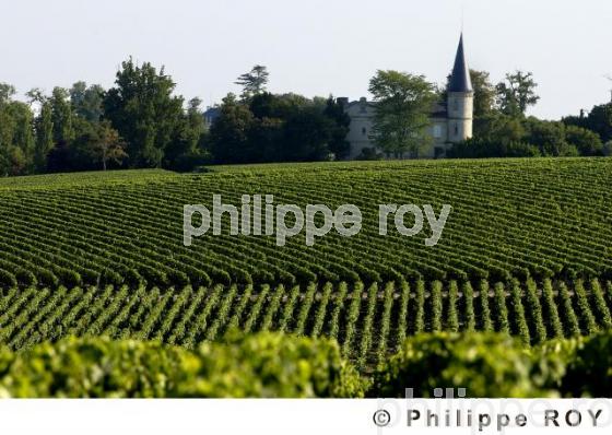 Château viticole (33V16433.jpg)