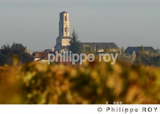 Patrimoine et vignoble (33V17319.jpg)