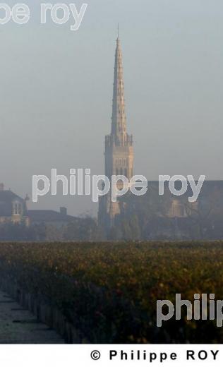 Patrimoine et vignoble (33V17320.jpg)