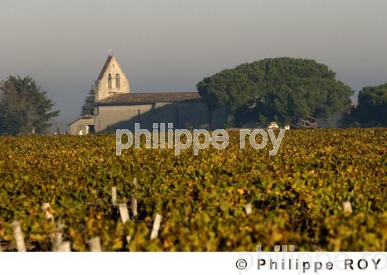 Patrimoine et vignoble (33V17507.jpg)