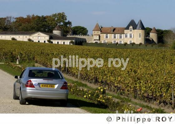 Chteau viticole (33V17601.jpg)
