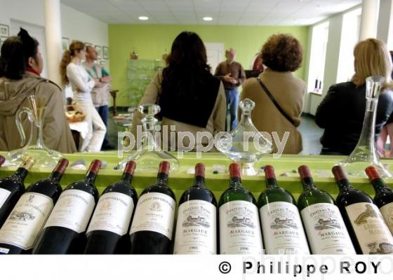 Tourisme viticole (33V18231.jpg)