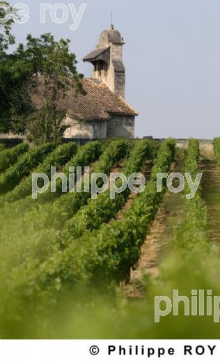 Patrimoine et vignoble (33V18421.jpg)