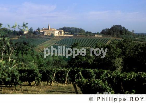 Patrimoine et vignoble (33V19316.jpg)