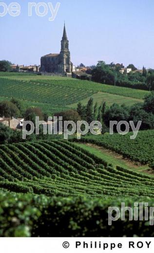 Patrimoine et vignoble (33V19407.jpg)