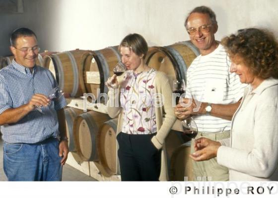 Le vignoble Bordelais (33V19816.jpg)