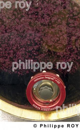 Vinification (33V19940.jpg)