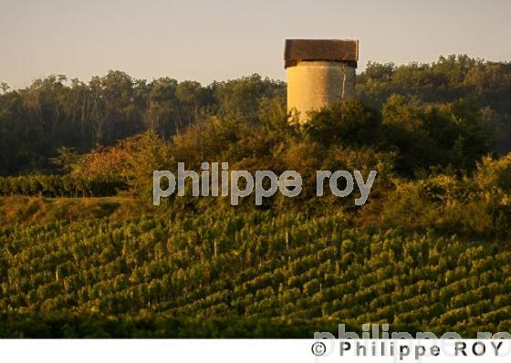 Le vignoble Bordelais (33V20810.jpg)