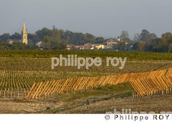 Le vignoble Bordelais (33V20827.jpg)