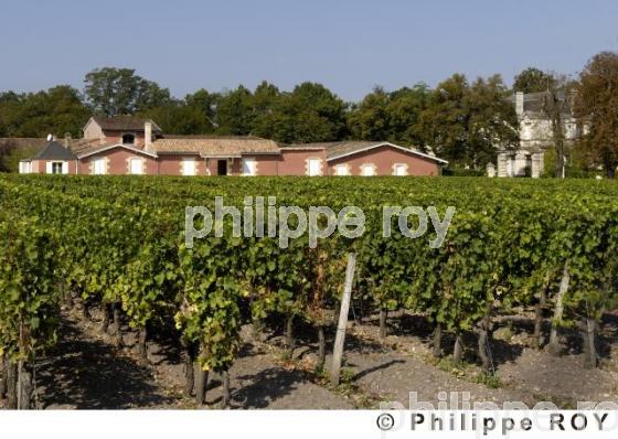 Chteau viticole (33V20936.jpg)