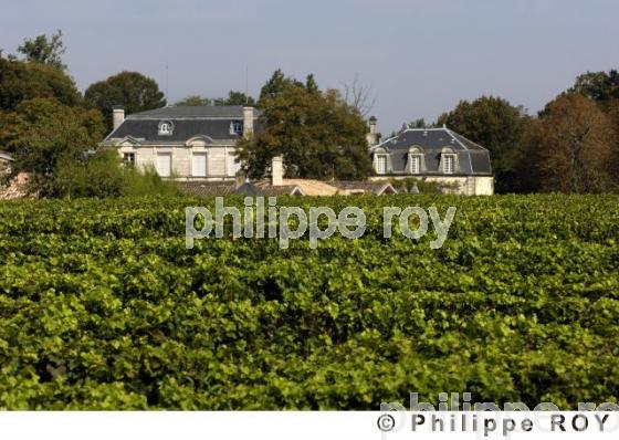 Chteau viticole (33V20937.jpg)