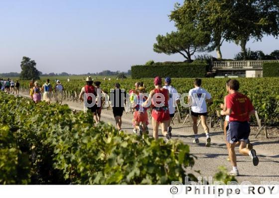 Marathon du Mdoc - Manifestation sportive (33V21020.jpg)