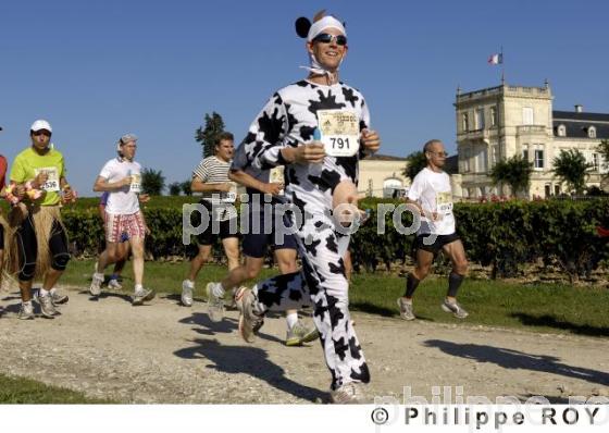 Marathon du Mdoc - Manifestation sportive (33V21039.jpg)