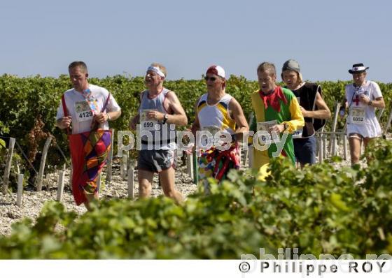 Le vignoble Bordelais (33V21112.jpg)