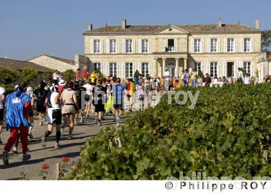 Marathon du Mdoc - Manifestation sportive (33V21206.jpg)
