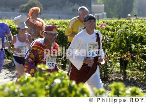 Le vignoble Bordelais (33V21207.jpg)
