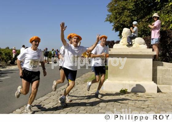 Marathon du Mdoc - Manifestation sportive (33V21211.jpg)