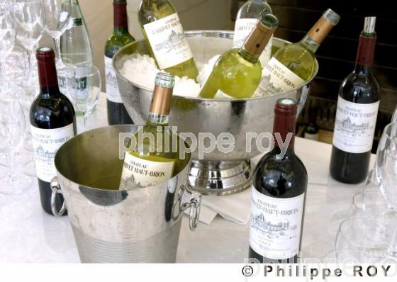 Primeurs - Vin de Bordeaux (33V21426.jpg)