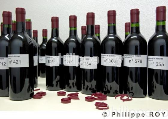 Dgustation - Vin de Bordeaux (33V21432.jpg)
