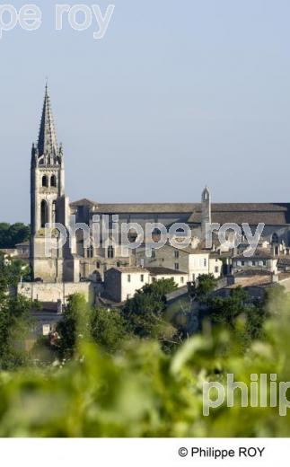 Saint Emilion (33V22003.jpg)