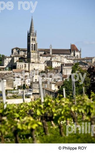 Saint Emilion - Gironde (33V23326.jpg)