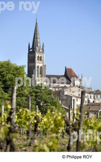 Saint Emilion - Gironde (33V23327.jpg)