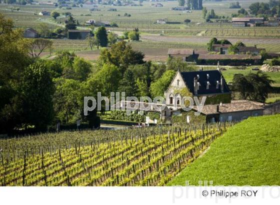 Saint Emilion - Gironde (33V23401.jpg)