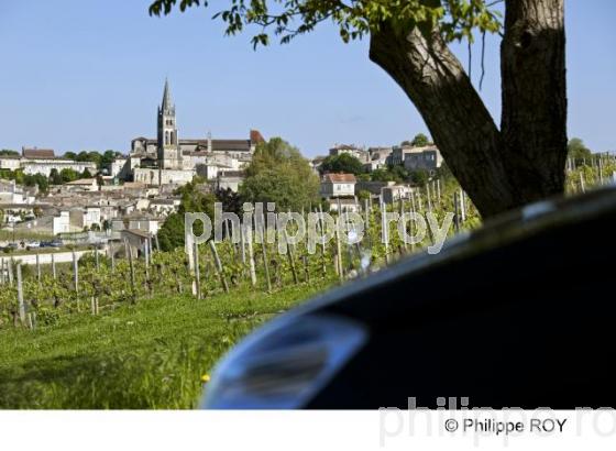 Oenotourisme - Vignoble bordelais (33V23404.jpg)