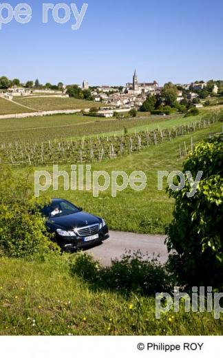 Oenotourisme - Vignoble bordelais (33V23413.jpg)