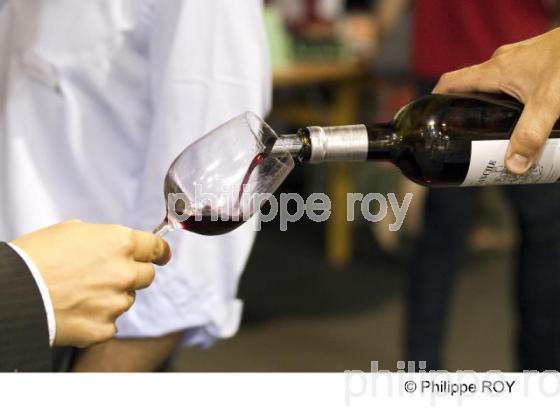 Vin bio - Vignoble Bordelais (33V23538.jpg)