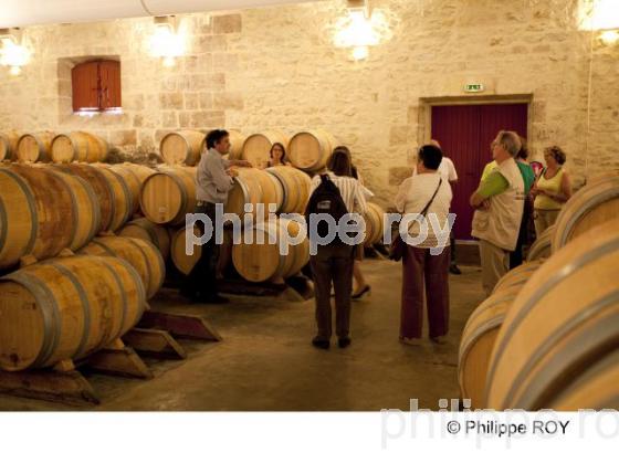 Chai - Vignoble Bordelais (33V24005.jpg)