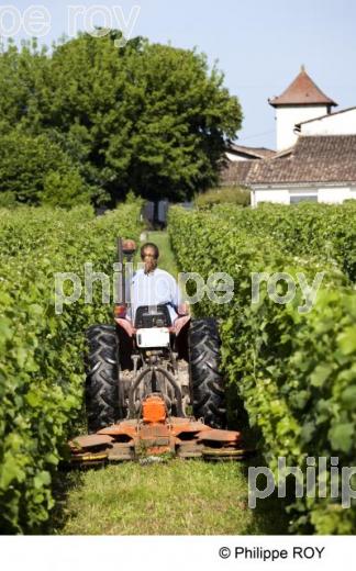Travail du sol - Vignoble Bordelais (33V24032.jpg)