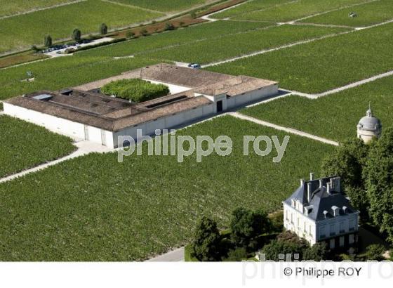 Chteau viticole - Vignoble Bordelais (33V24210.jpg)