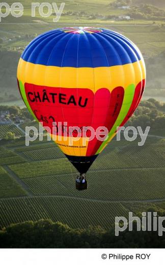 Montgolfire - Vgnoble Bordelais (33V24333.jpg)