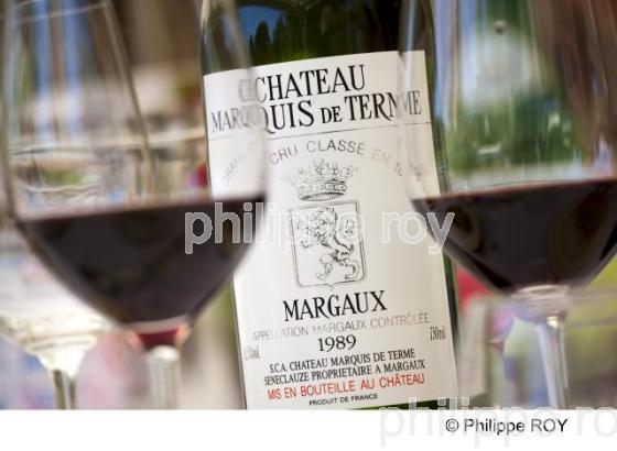 Dgustation - Vin de Bordeaux (33V24835.jpg)