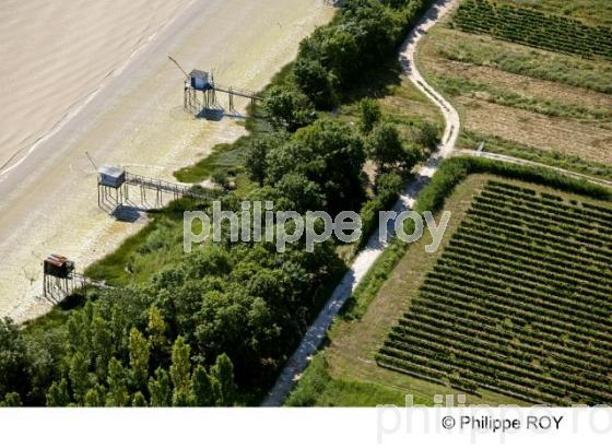 Estuaire de la Gironde - Vignoble Bordelais (33V24925.jpg)