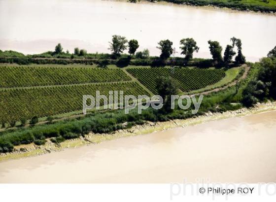 Estuaire de la Gironde - Vignoble Bordelais (33V24932.jpg)